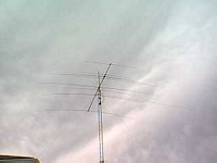 tn_C4